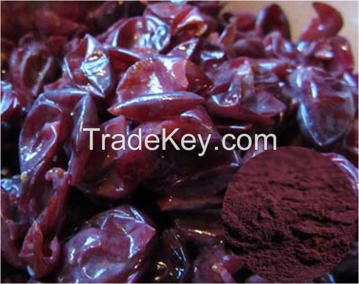 Good Quality Grape Skin Extract Anthocyanin 25%-50%