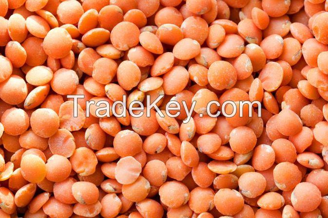 Red Lentils