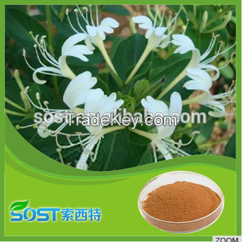 HoneySuchle Flowers extract, Chlorogenic acid 