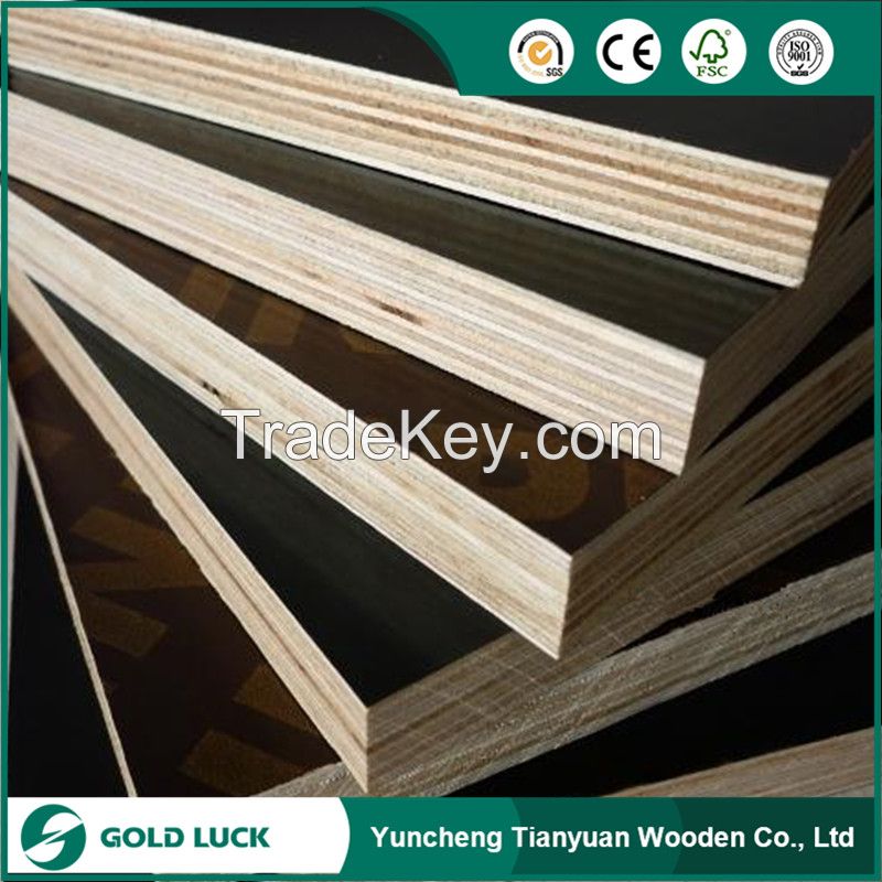 Film Faced Plywood Poplar Core