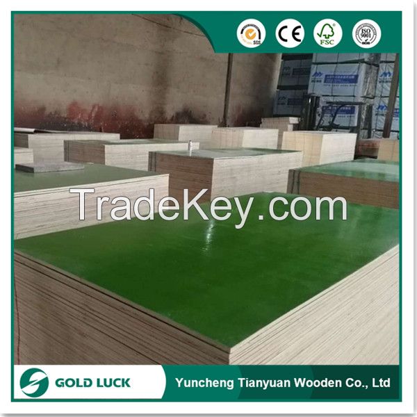 Green and Blue Colored PP PVC Plastic Plywood Sheet