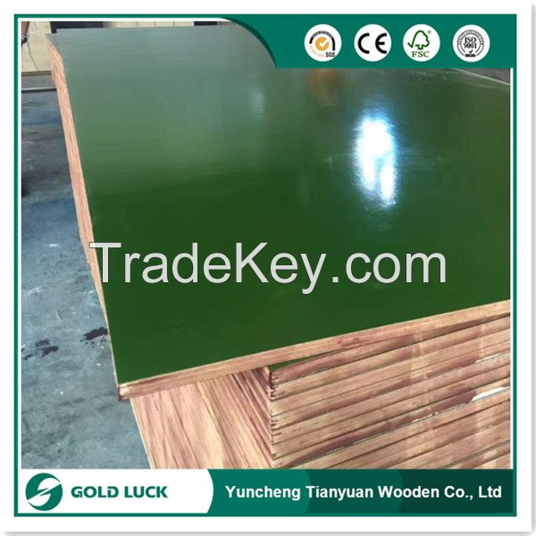 Green and Blue Colored PP PVC Plastic Plywood Sheet