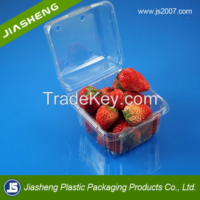 China Suppliers Biodegradable Food Grade Plastic Transparent Fresh Fruit Container