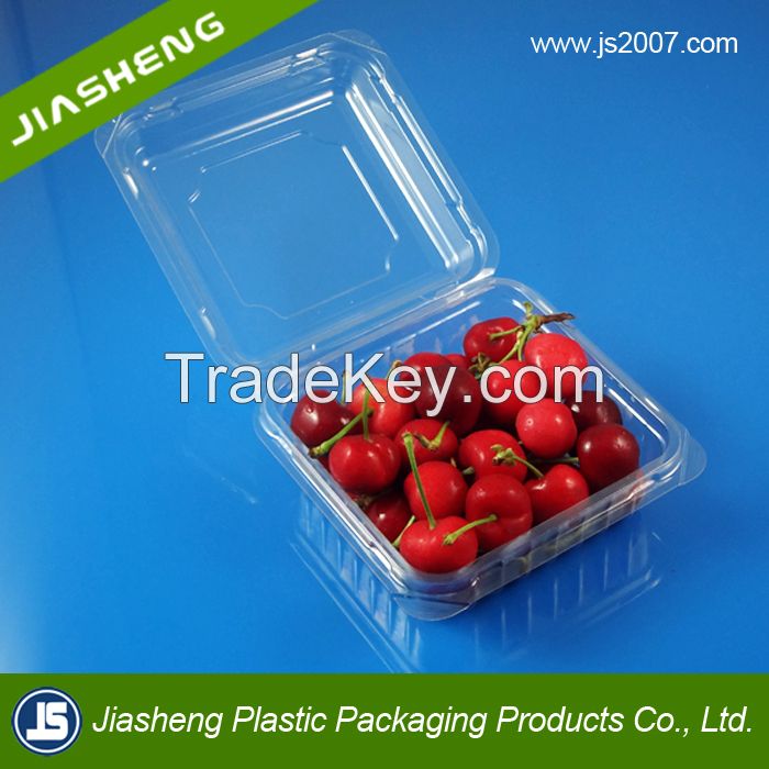 China Suppliers Biodegradable Food Grade Plastic Transparent Fresh Fruit Container