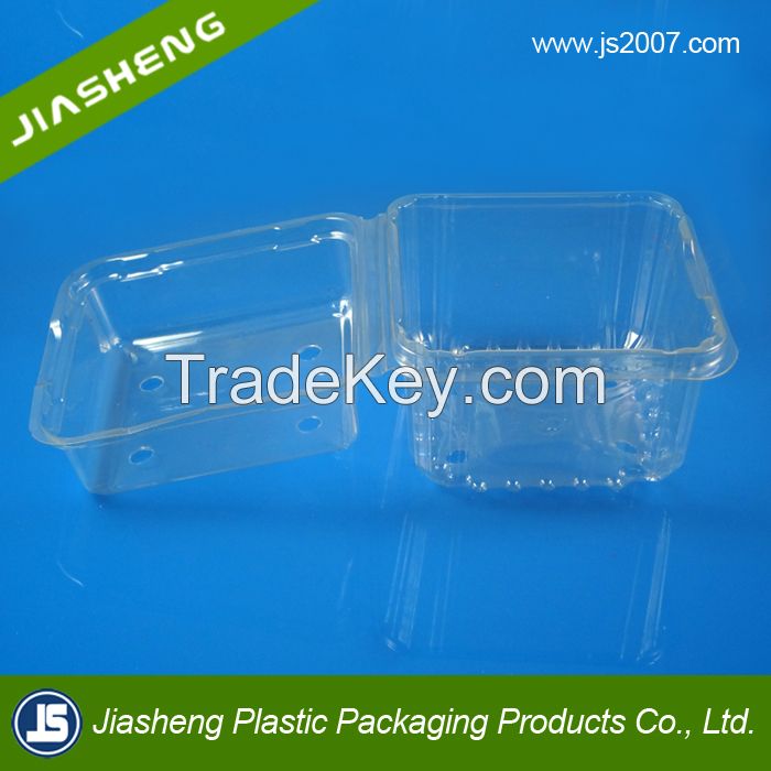 China Suppliers Biodegradable Food Grade Plastic Transparent Fresh Fruit Container