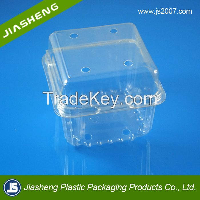 China Suppliers Biodegradable Food Grade Plastic Transparent Fresh Fruit Container