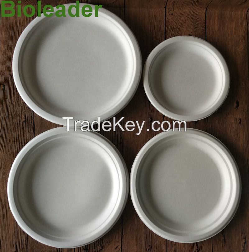 100%Eco-friendly Hot Sale Stocked Microwavable 100% Biodegradable 6 Inch Disposable Sugarcane Bagasse Round Plate