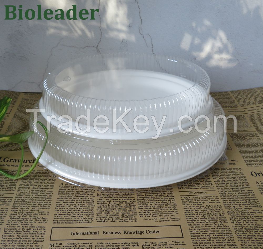 100%Eco-friendly Hot Sale Stocked Microwavable 100% Biodegradable 6 Inch Disposable Sugarcane Bagasse Round Plate