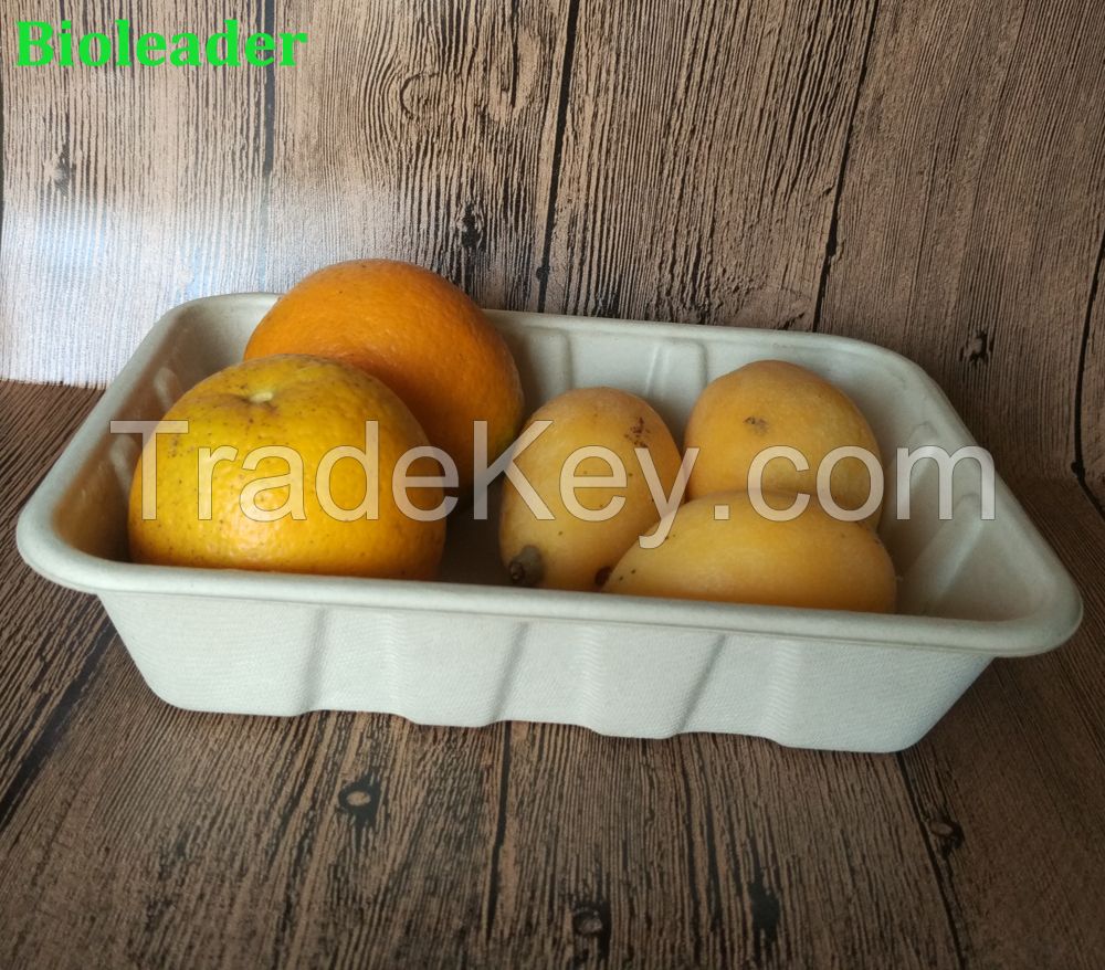 FDA Standard Disposable Biodegradable Sugarcane Bagasse Bamboo Fiber Food Tray