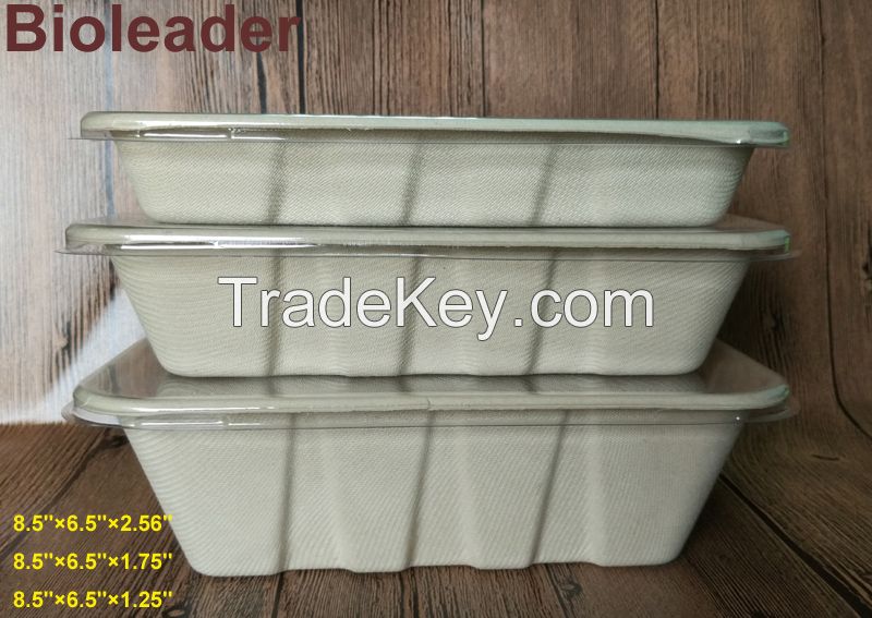 FDA Standard Disposable Biodegradable Sugarcane Bagasse Bamboo Fiber Food Tray