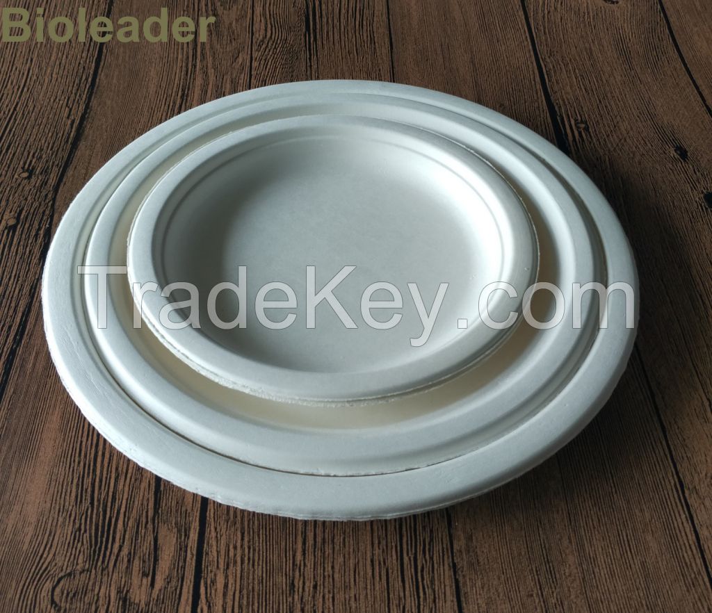 100%Eco-friendly Hot Sale Stocked Microwavable 100% Biodegradable 6 Inch Disposable Sugarcane Bagasse Round Plate