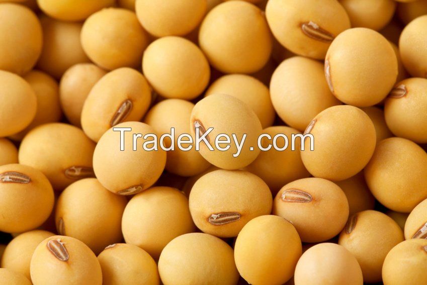 Soybeans