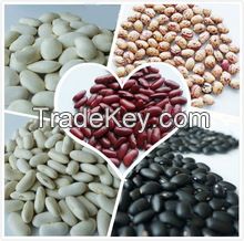 Beans,Black beans , Butter Beans , Broad Beans, Cocoa beans, Fresh Beans, Lima Beans, Mung Beans, Soybeans, Vanilla Beans,