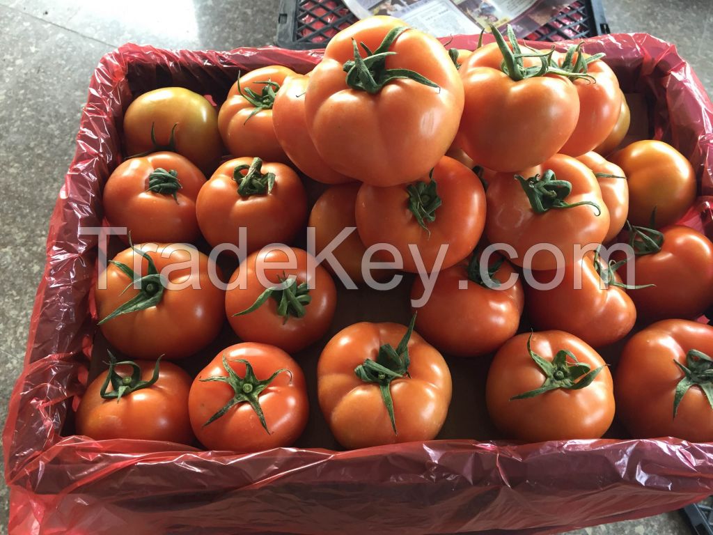 fresh fruits and vegetables from China