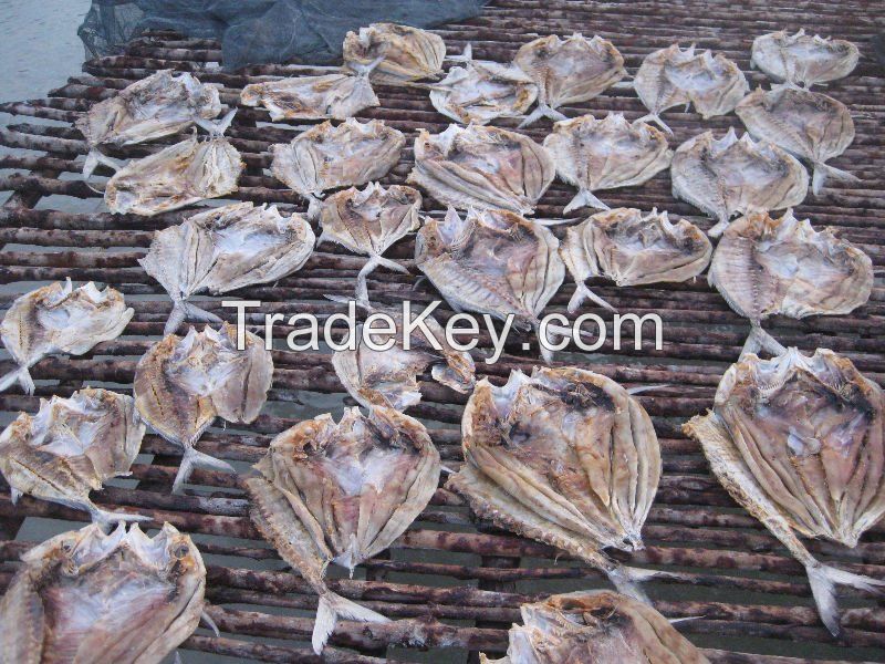 Dried Salted Fish