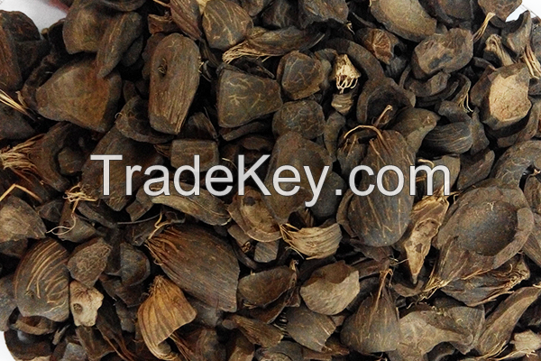 Palm Kernel Shells