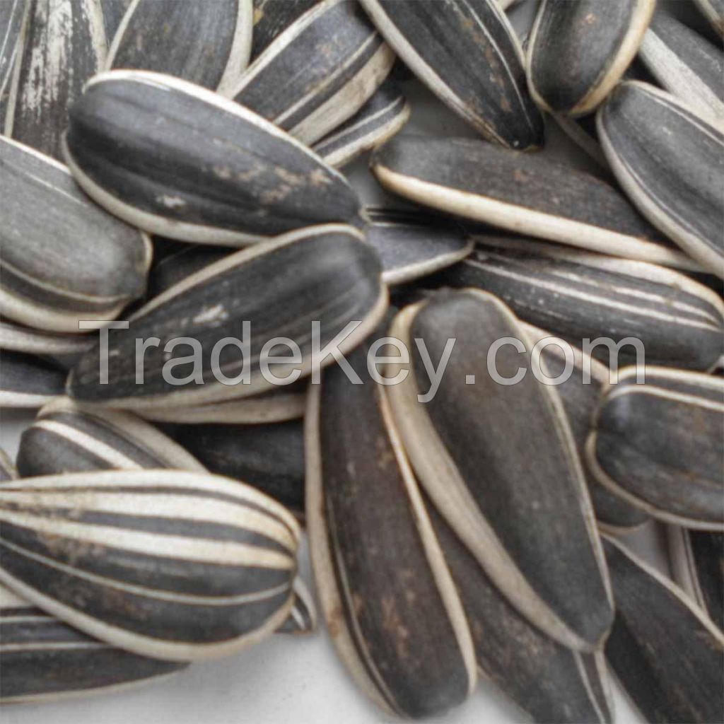 Raw Sunflower Seeds from Inner Mongolia