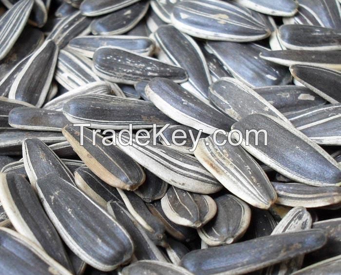 Raw Sunflower Seeds from Inner Mongolia