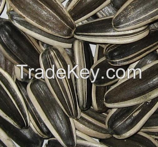 Roasted Fragrant Flavor Organic Sunflower Seeds