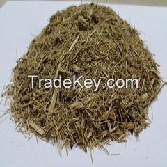 Dried Sugarcane Bagasse