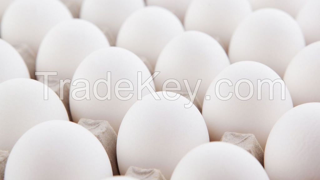 FRESH FARM CHICKEN EGGS