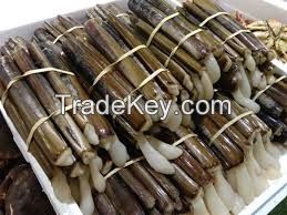 FROZEN RAZOR CLAM