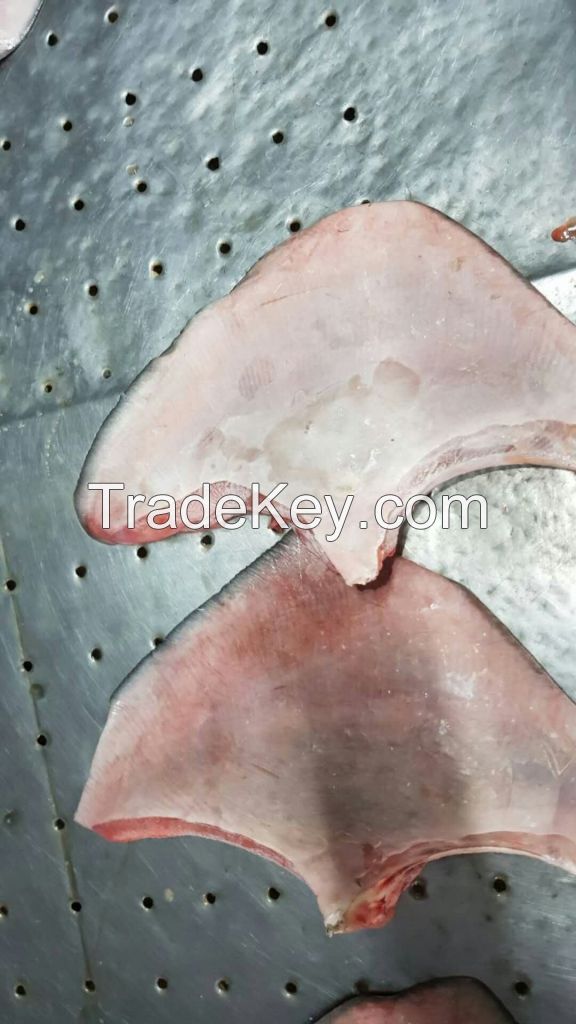 FROZEN STINGRAY WINGS