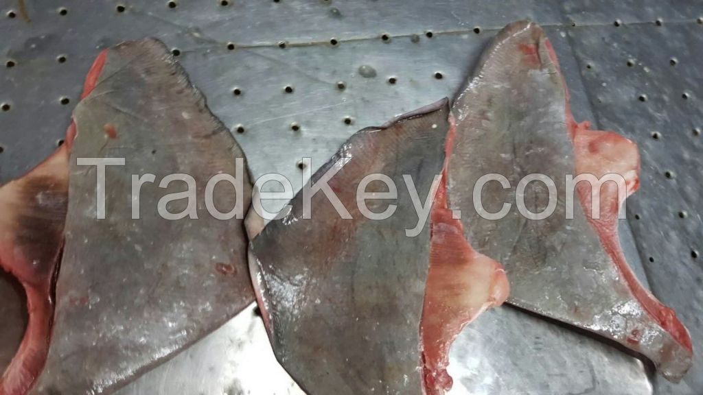 FROZEN STINGRAY WINGS