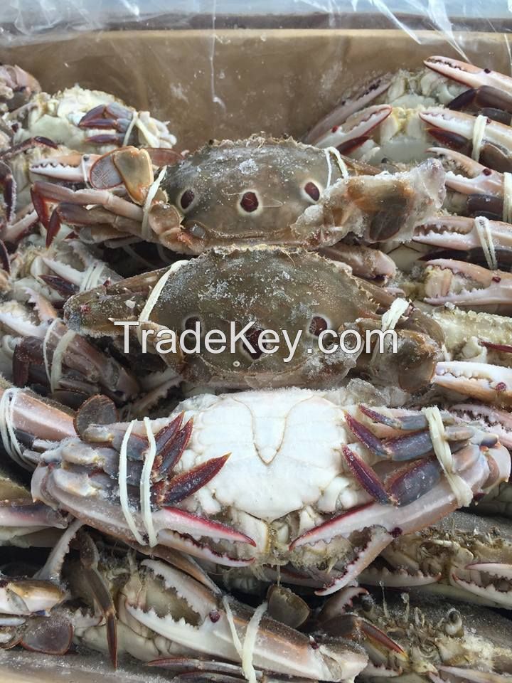 FROZEN 3SPOT CRAB