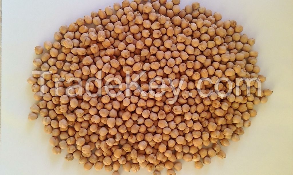 Chickpeas of Russian origin, crop 2017