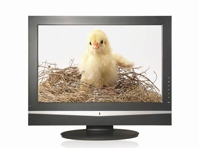 32''LCD TV