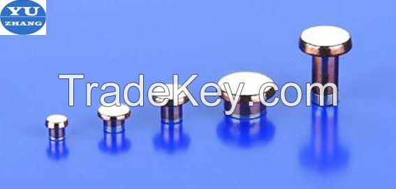 electrical rivet contacts for the relay