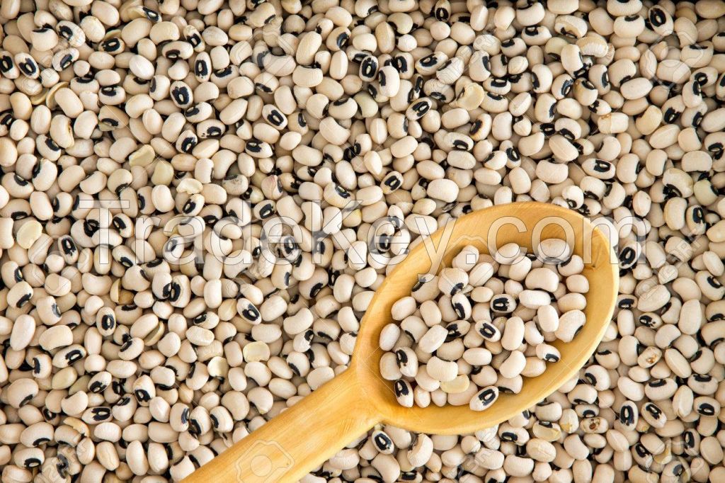 Black Eye (vigna Beans) - Black Eyed Beans