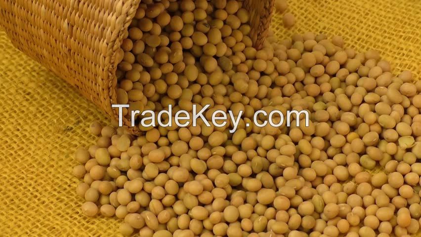 Soybeans / Soybeans Seeds For Sale