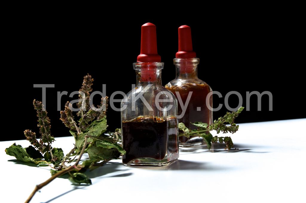 Patchouli Essential Oil