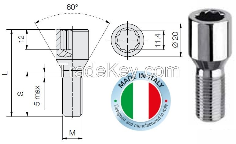 Tuner lug bolt