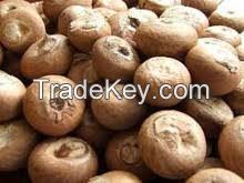 Fresh Green Betel Nut/ Areca nut/Betel Nut Dried Betel Nut - Areca Nut