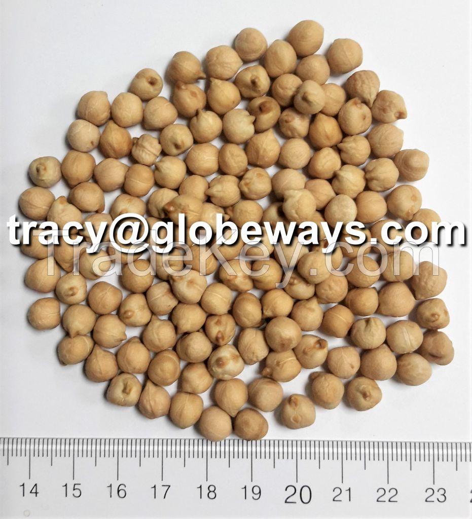 Kabuli Chickpeas, 7mm/8mm/9mm, Canada/Argentina