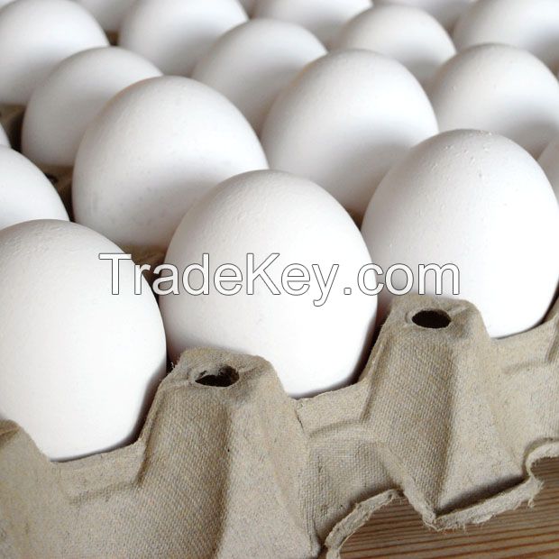 CHICKEN EGGS FRESH