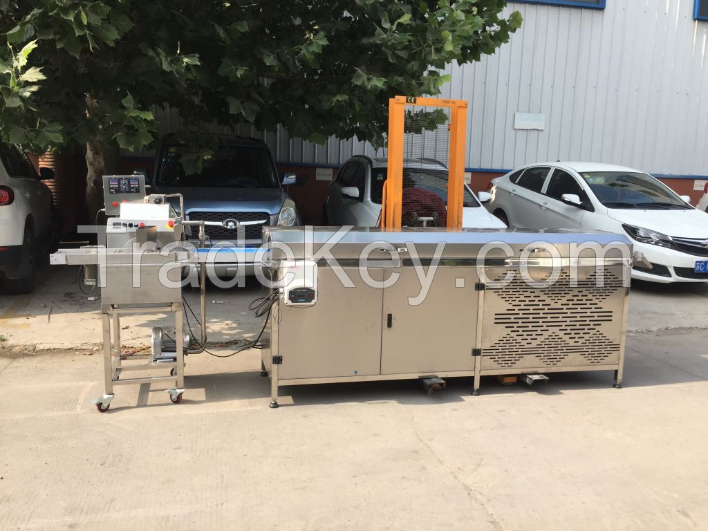 CE Small Professional Chocolate Tempering Enrobing Coating Machine with Cooling Tunnel