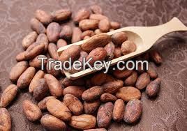 Cacao Beans Ready To Be Exported