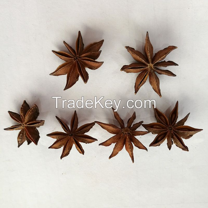 new harvest 99% purity natural autumn or spring star anise
