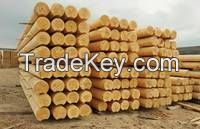 Teak Wood - Round Logs, Swan Timber Logs