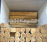 Pine and Oak Teak Wood Logs, Timber, Firewood and Briquettes