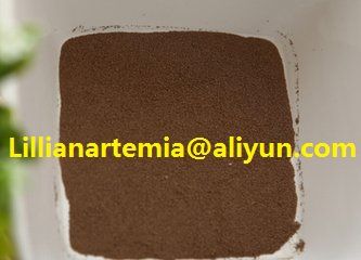 artemia cysts fish feed high hatching rate