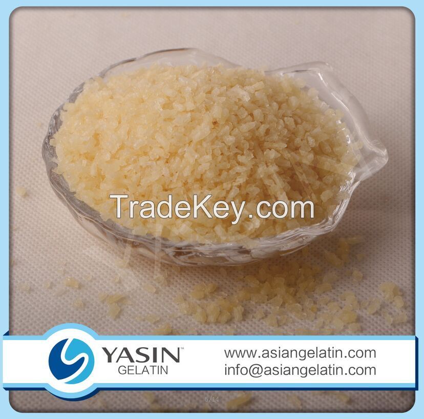 Fish Gelatin Powder 