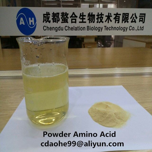 Enzymatic Amino Acid 80% Powder (Animal Source or Plant Source) 