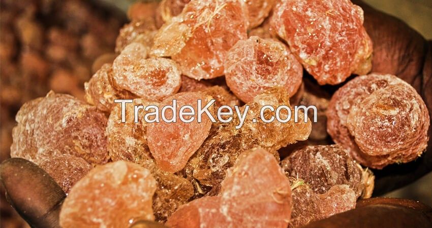 Gum Arabic Gum Arab Gum Arabicum Natural Arabic Gum