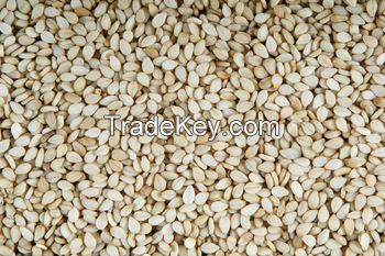 White Sesame Seeds