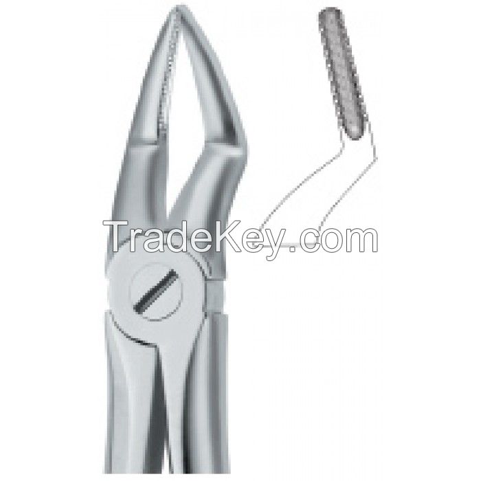 Dental Instruments